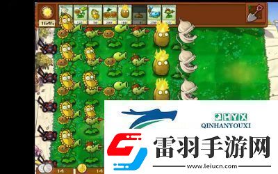 植物大戰(zhàn)僵尸雜交版前院告急第3關(guān)攻略詳解