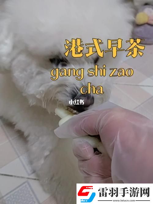 美國人與動物膠配方有幾種讀者