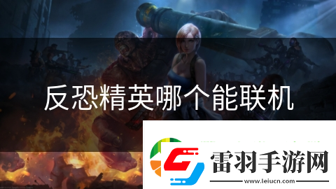 反恐精英哪個(gè)能聯(lián)機(jī)