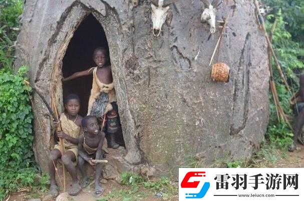 非洲人與性動(dòng)交