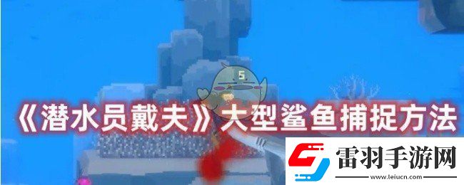 潛水員戴夫怎么捕捉大型鯊魚