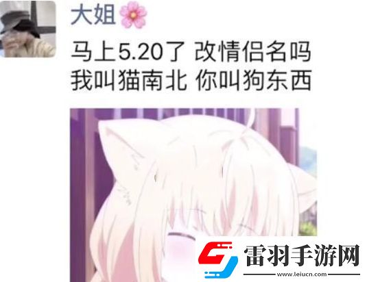 貓南北狗東西是什么梗絡(luò)用語貓南北狗東西梗意思及出處分享