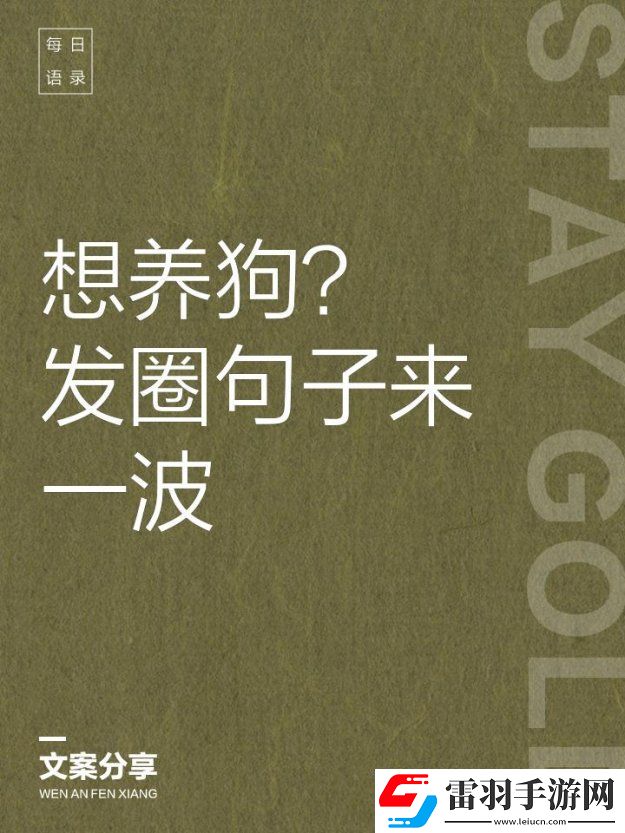 養(yǎng)狗人必看！如何用一句走心文案改變?nèi)藢欔P(guān)系