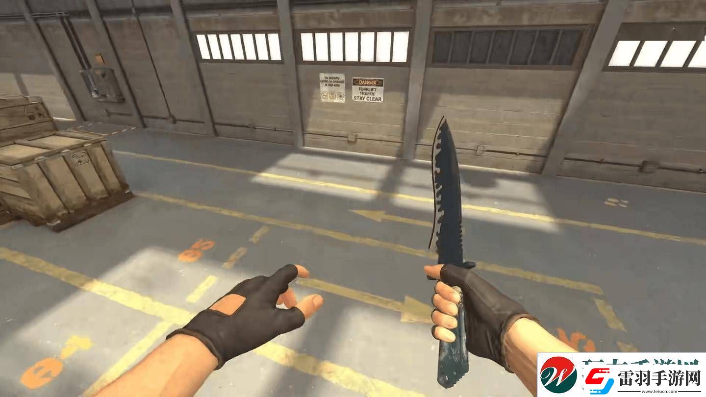 CS