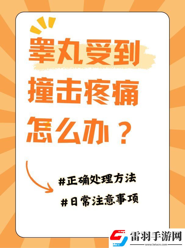 蛋蛋被撞后的72小時自救指南