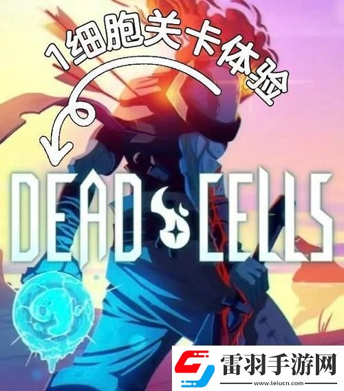 重生細(xì)胞導(dǎo)入別人的云存檔全解析