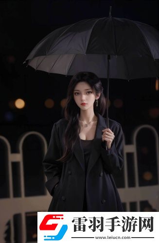 2024永久免費(fèi)access進(jìn)銷存華語(yǔ)版